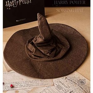 Harry Potter sorting hat